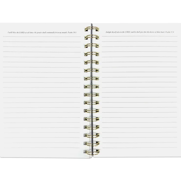 Journals^African American Expressions FREDERICK DOUGLASS WIRED JOURNAL